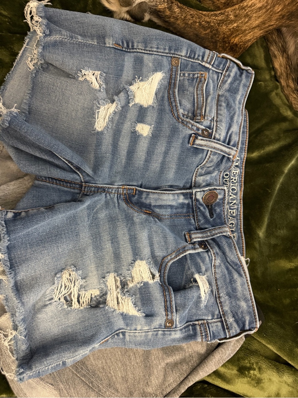 American Eagle Outfitters Distressed Light Blue Jean Shorts